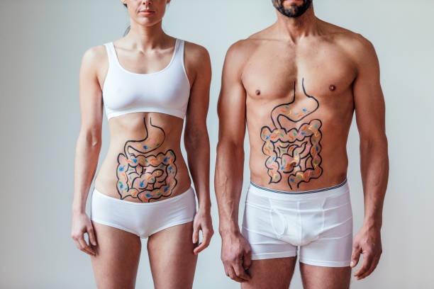 Healthy Meal Habits for Supporting Comfortable Digestion